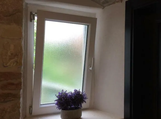 Morus Alba Apartmán