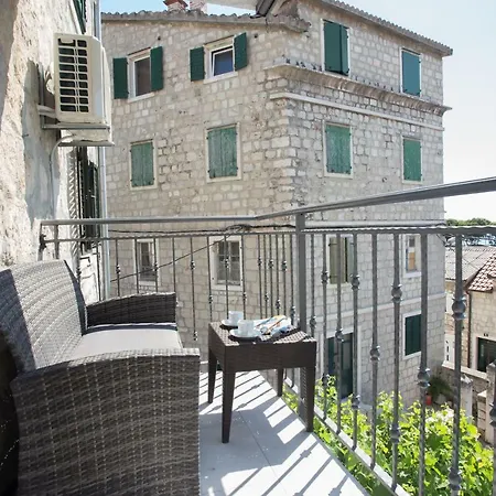 Morus Alba * Сплит