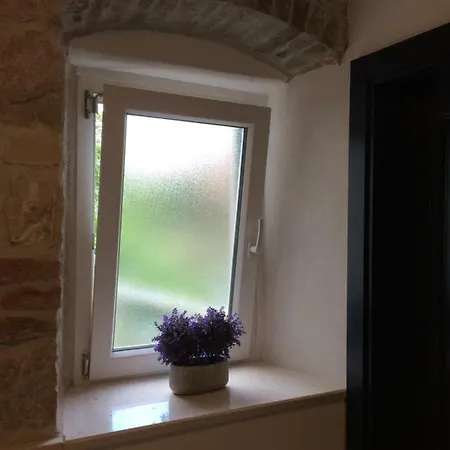 Morus Alba Apartment