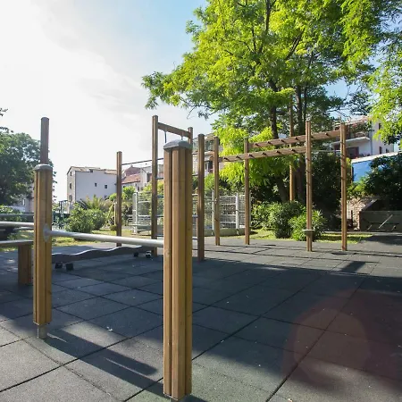 Morus Alba * Сплит