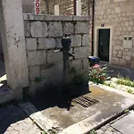 Morus Alba * Split