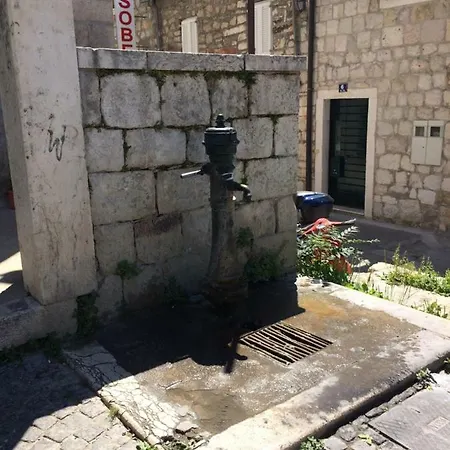 Morus Alba * Split